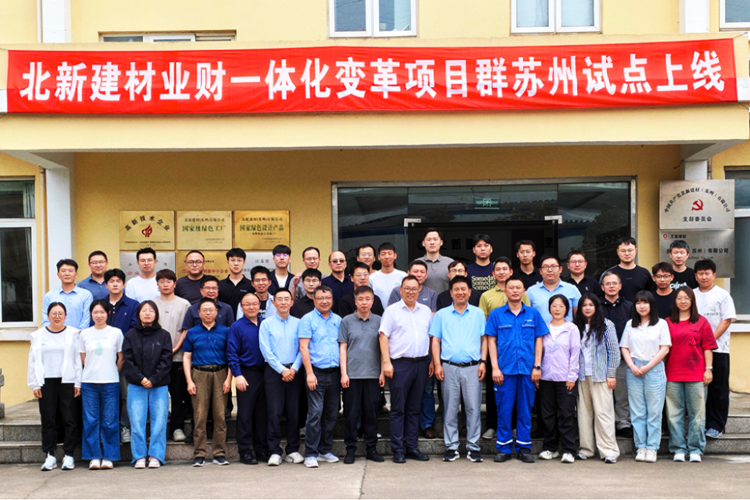 北新建材業財一體化試點上線報告1260