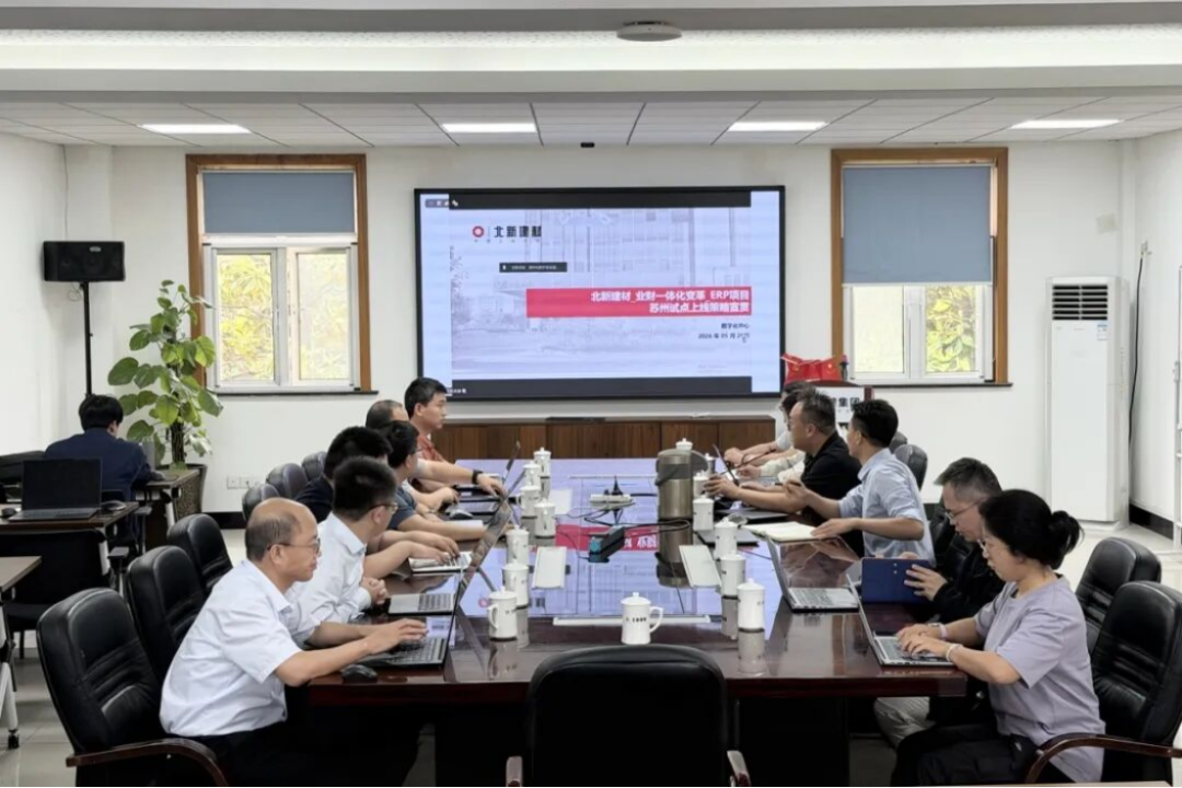 北新建材業財一體化試點上線報告1289